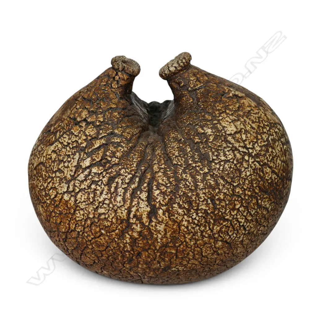 Len Castle (1924-2011) twin aperture flask vase, Image 1++