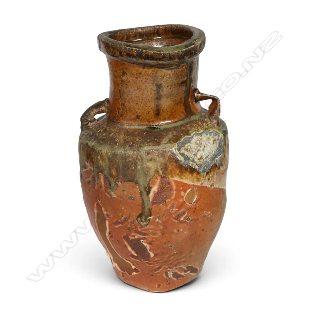 Chester Nealie anagama bottle vase, Image 1++