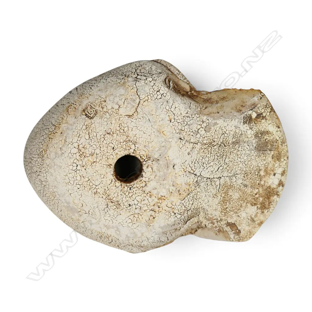 Lindsay Bedgoni dove, Image 1++