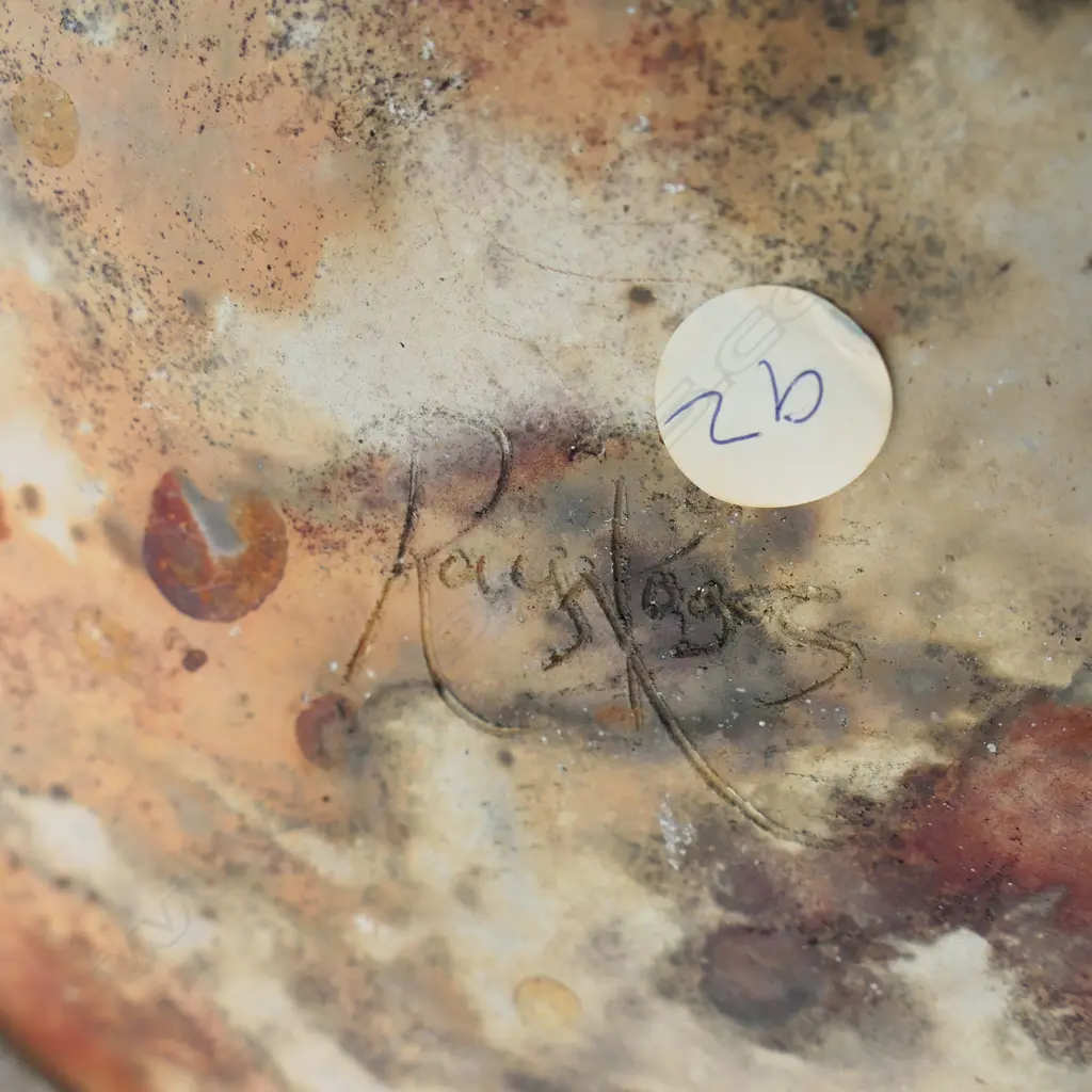 Ray Rogers large fungoid form, Image 1++