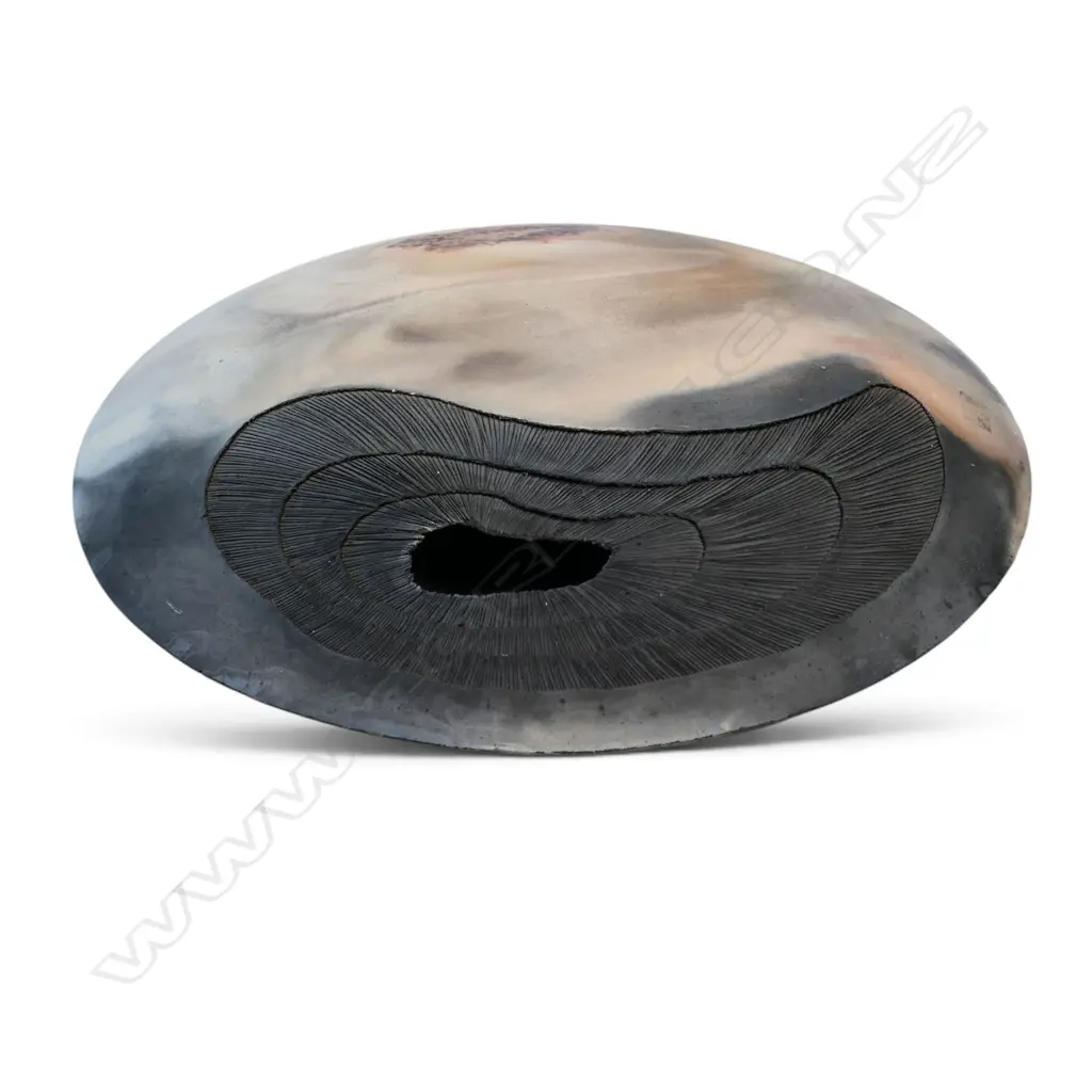 Ray Rogers large fungoid form, Image 1++