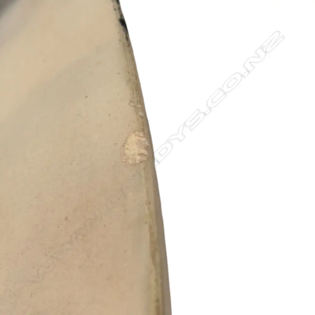 Ray Rogers large fungoid form, Image 1++
