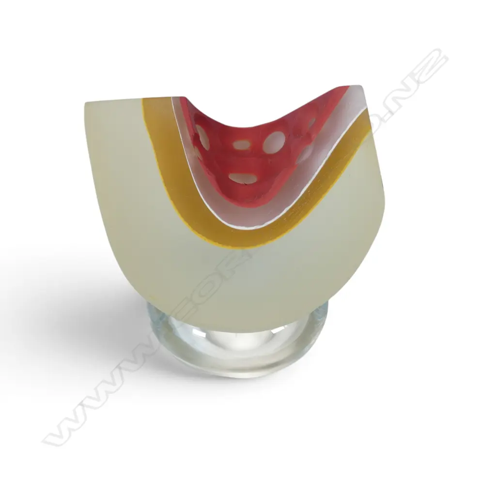 Dominic Burrell art glass pod, Image 1++
