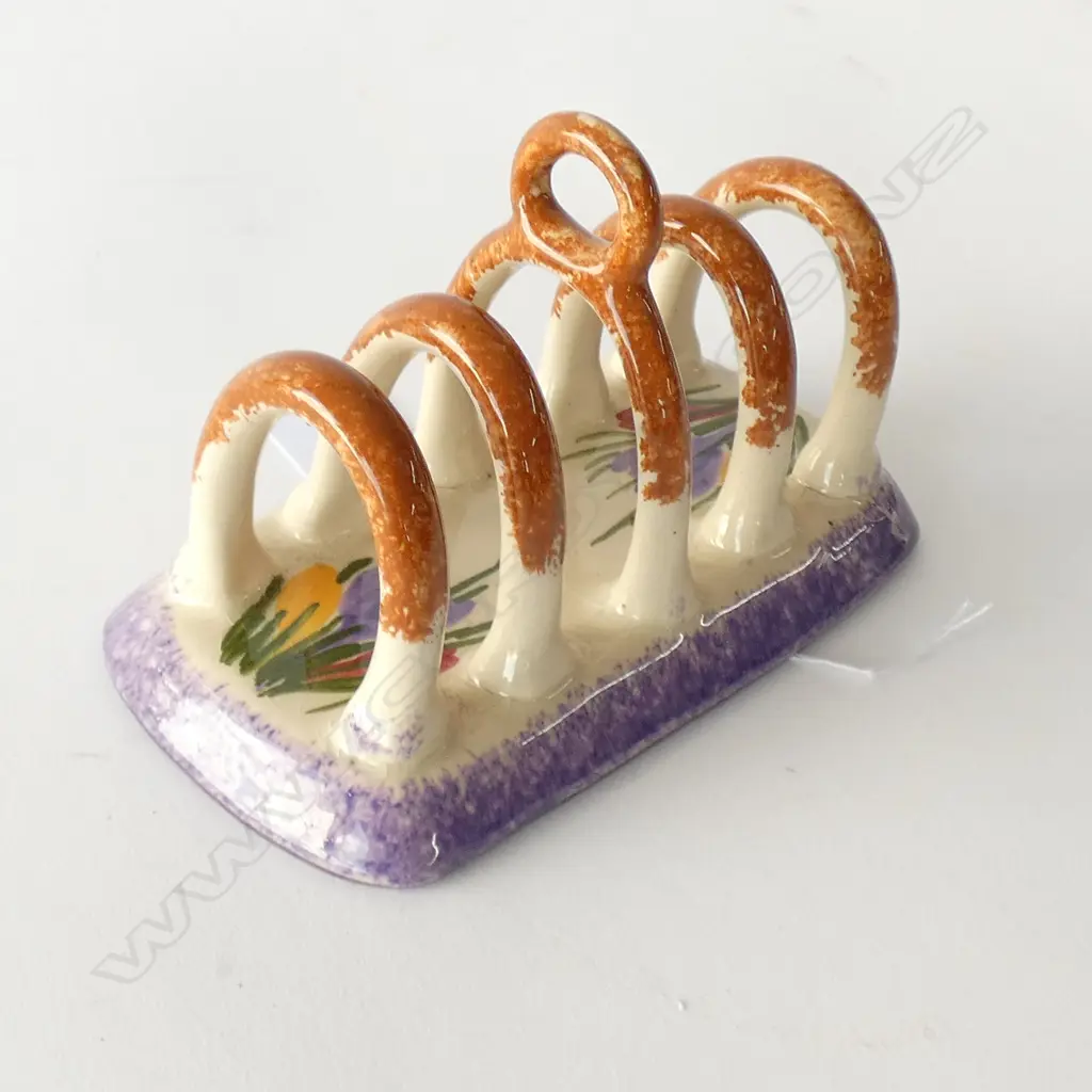 LONGPARK TORQUAY - CROCUS Image 1++