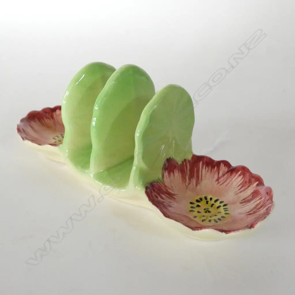 SHORTER & SONS - PINK POPPY Image 1++