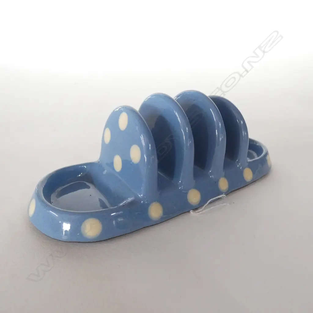 TORQUAY - BLUE WITH POLKA DOTS Image 1++