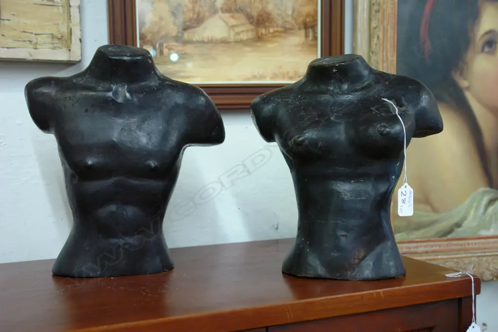 2 SM METAL TORSOS Image 1++