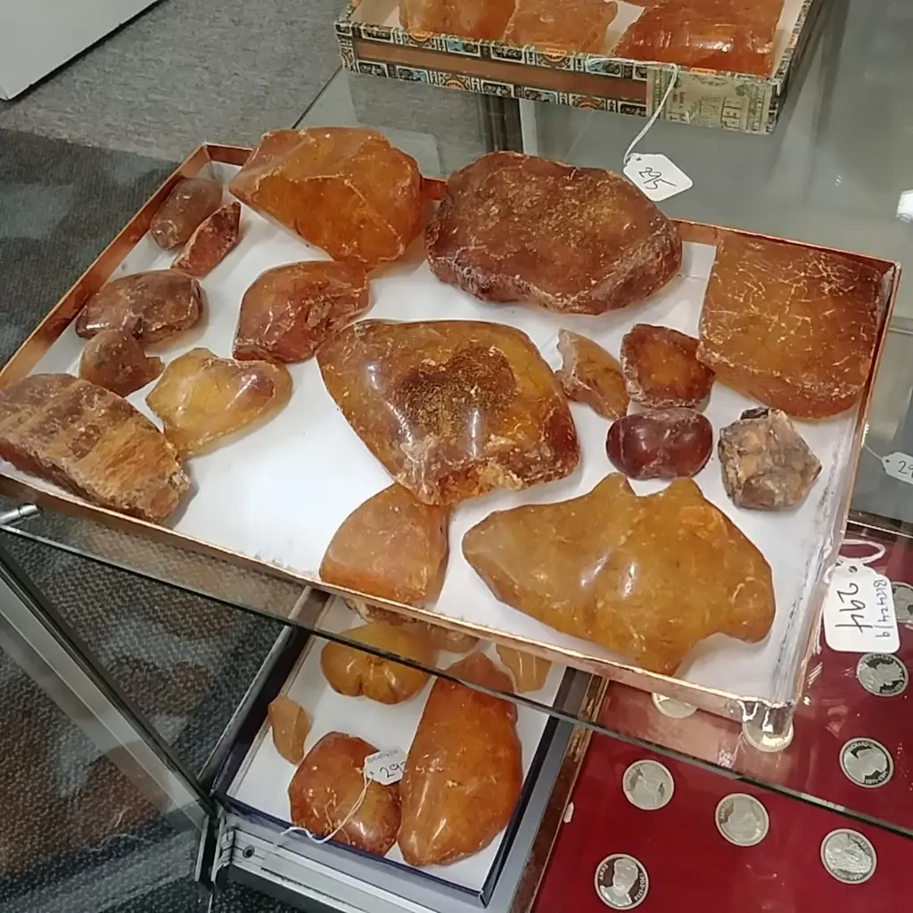 TRAY KAURI GUM NUGGETS Image 1++