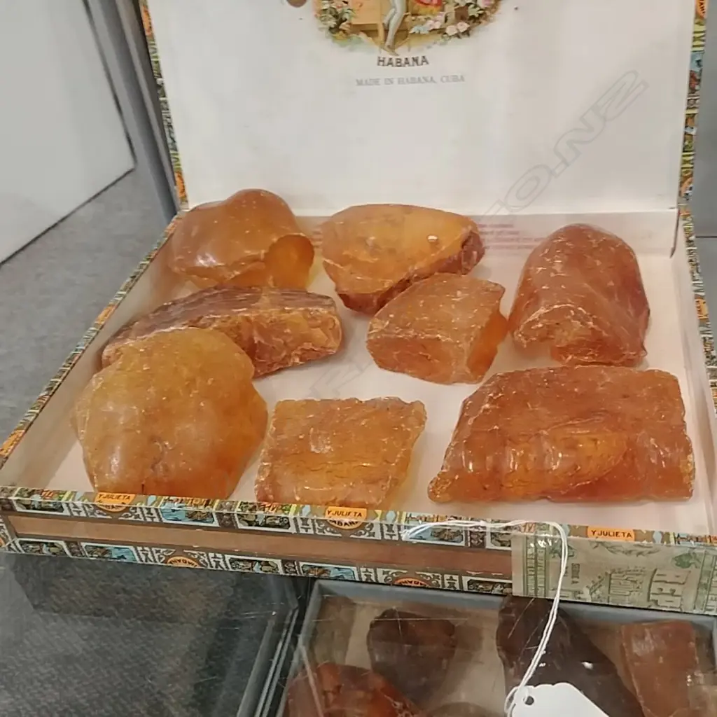 TRAY KAURI GUM NUGGETS Image 1++