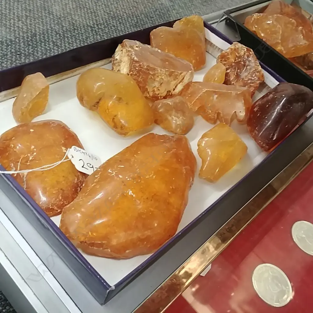 TRAY KAURI GUM NUGGETS Image 1++