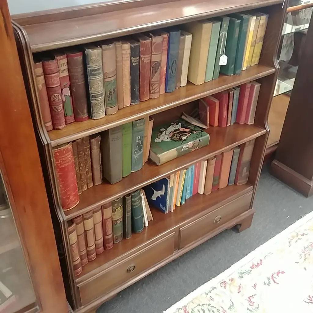 COLLECTION OF COLLECTABLE BOOKS Image 1++