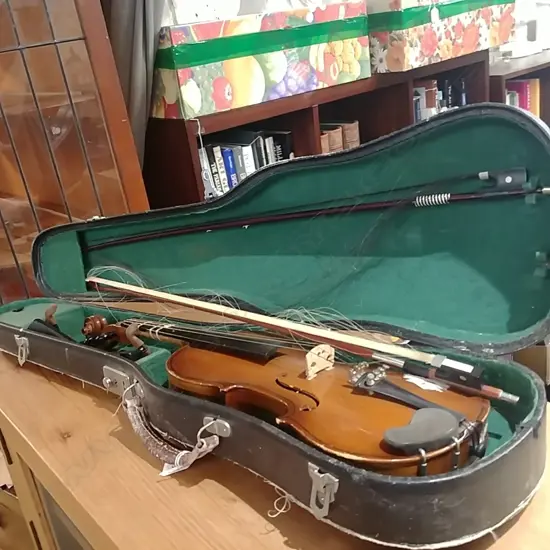 VIOLIN IN CASE