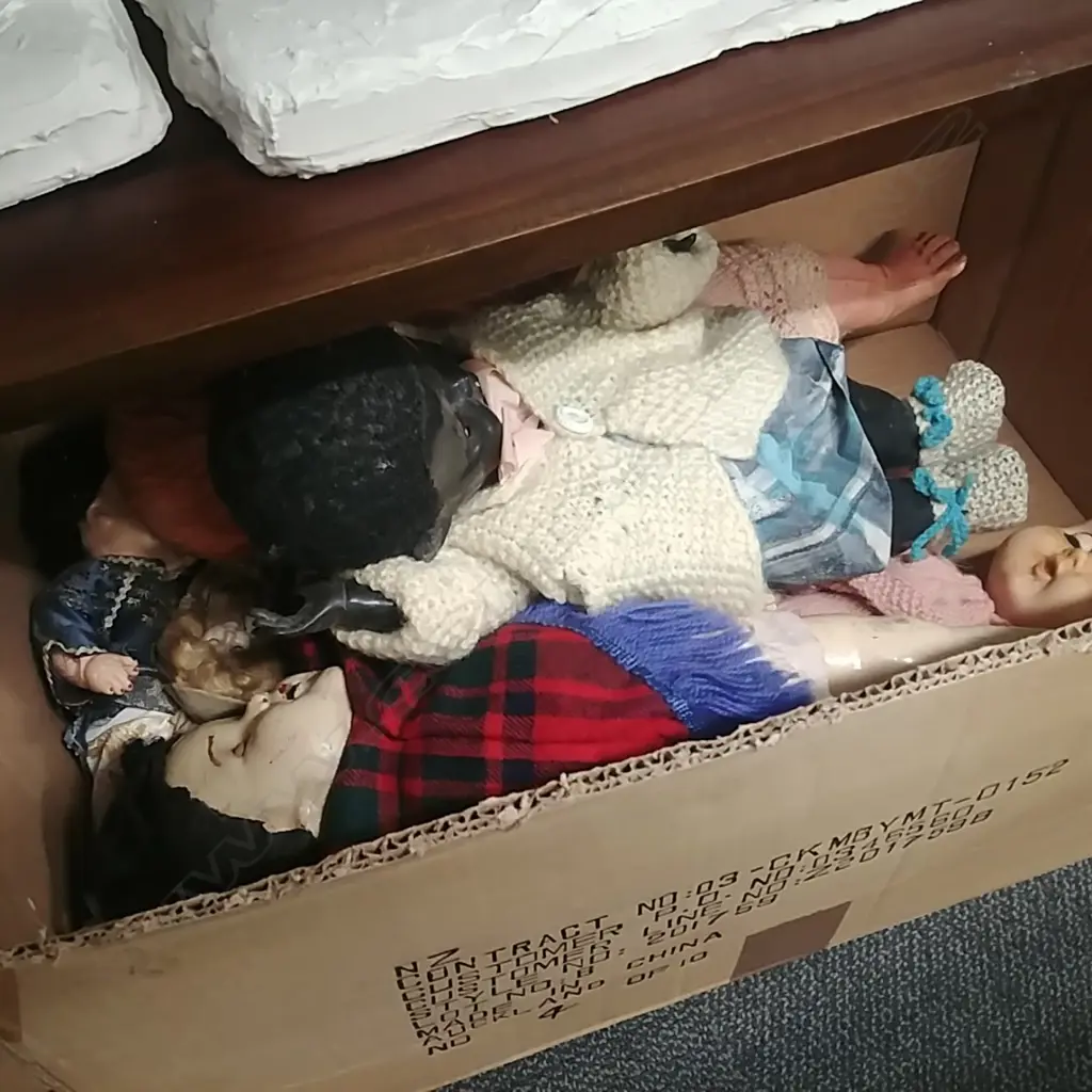 LOT ASST DOLLS Image 1++