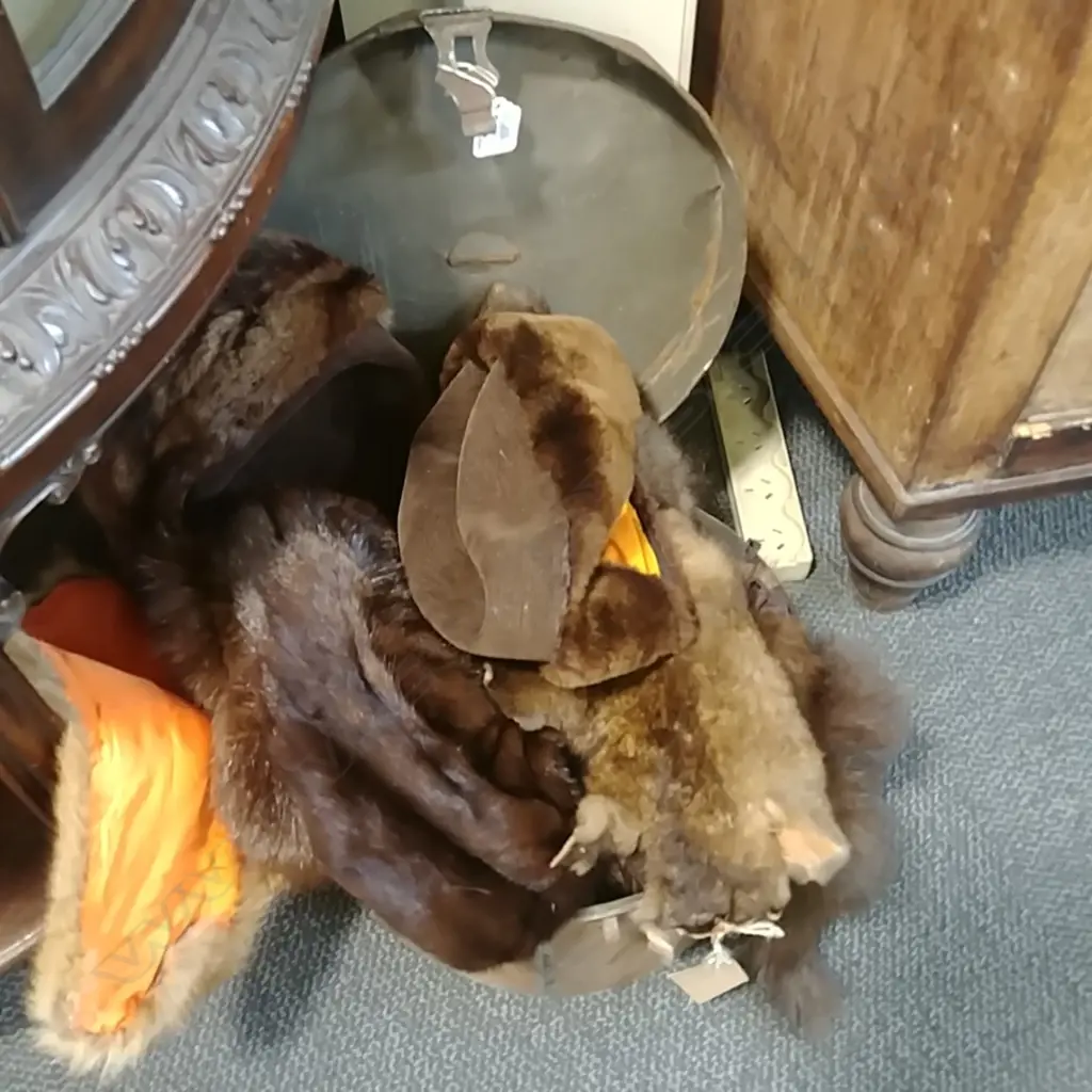 HAT BOX + FURS+ HATS Image 1++