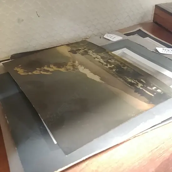 GROUP NZ VINTAGE PHOTOS