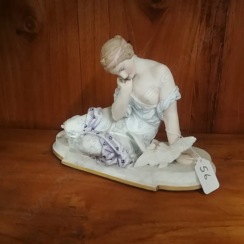 PARIAN FIG DOVE LADY AF Image 1++