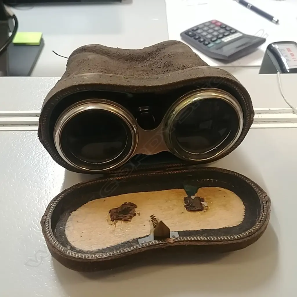 CASED BINOCULARS Image 1++