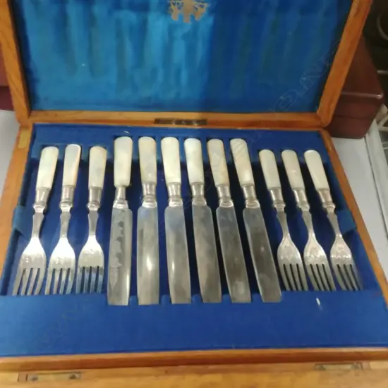 CASED MOP FRUIT SET