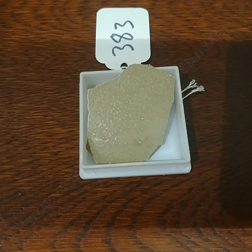 MOA EGG FRAGMENT Image 1++