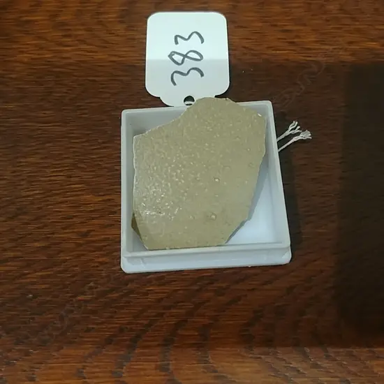 MOA EGG FRAGMENT