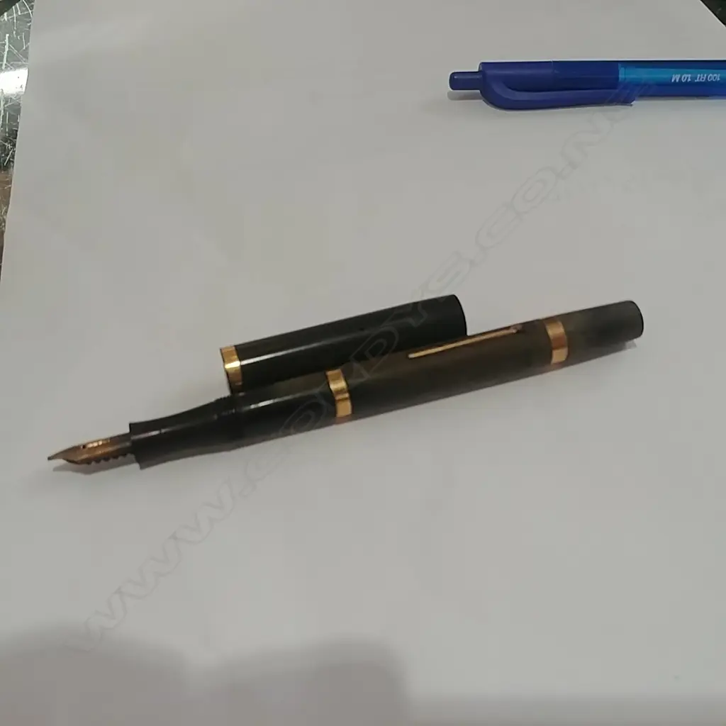 SWAN FOUNTAIN PEN 14K NIB Image 1++