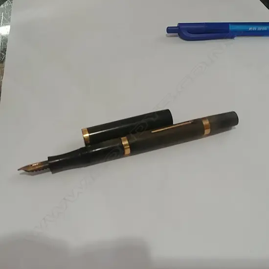 SWAN FOUNTAIN PEN 14K NIB