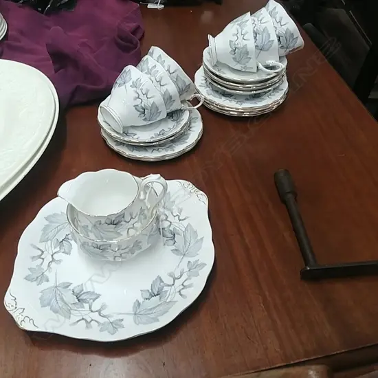 R/ALBERT SILVER MAPLE 21PC TEA SET