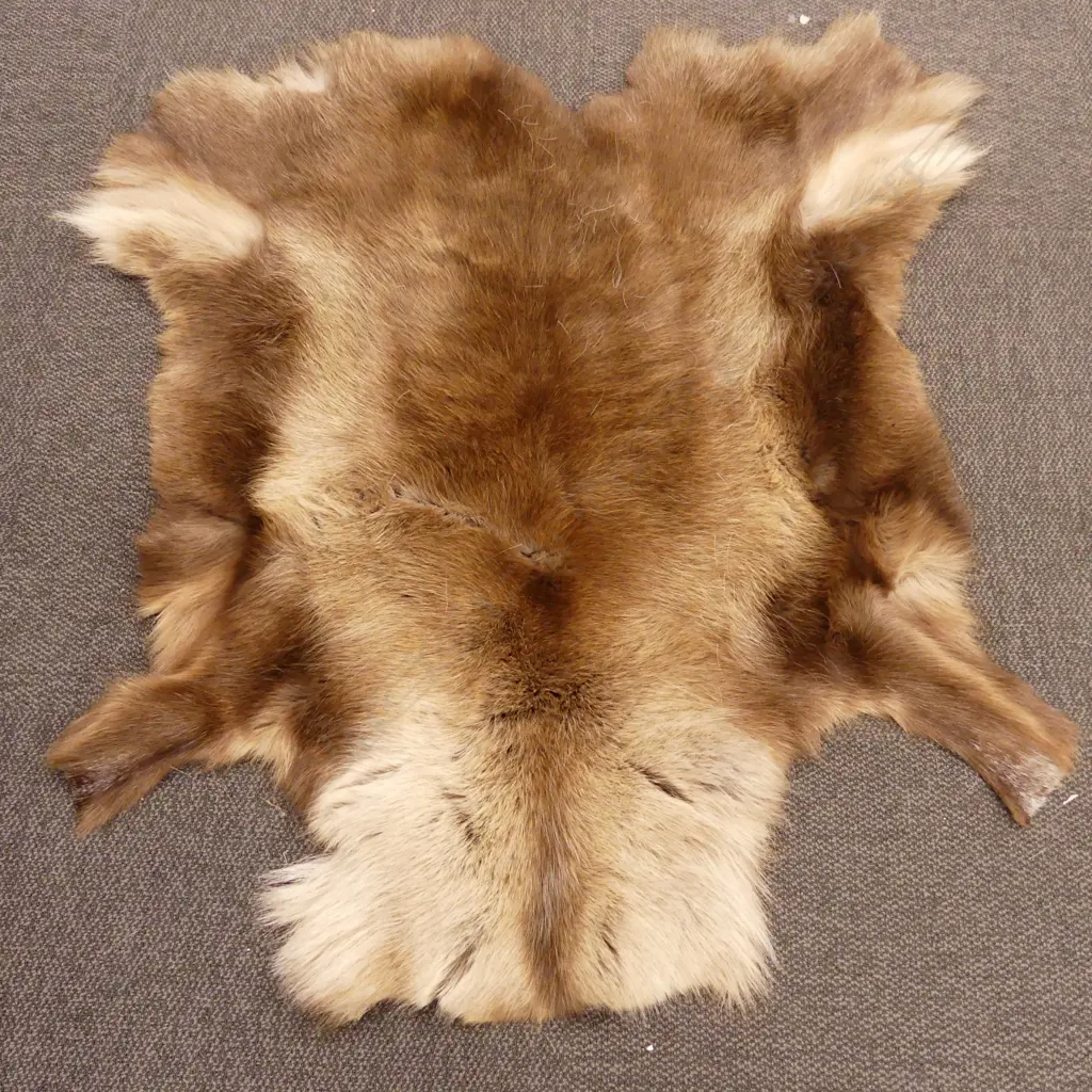 DARK BROWN REINDEER HIDE 110 X 94CM Image 1++