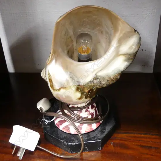 SHELL LAMP