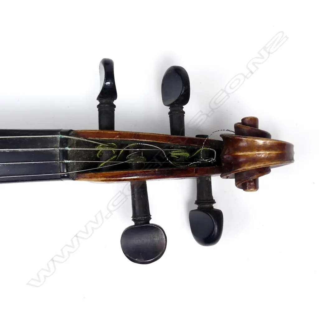 CASED VIOLIN Image 1++