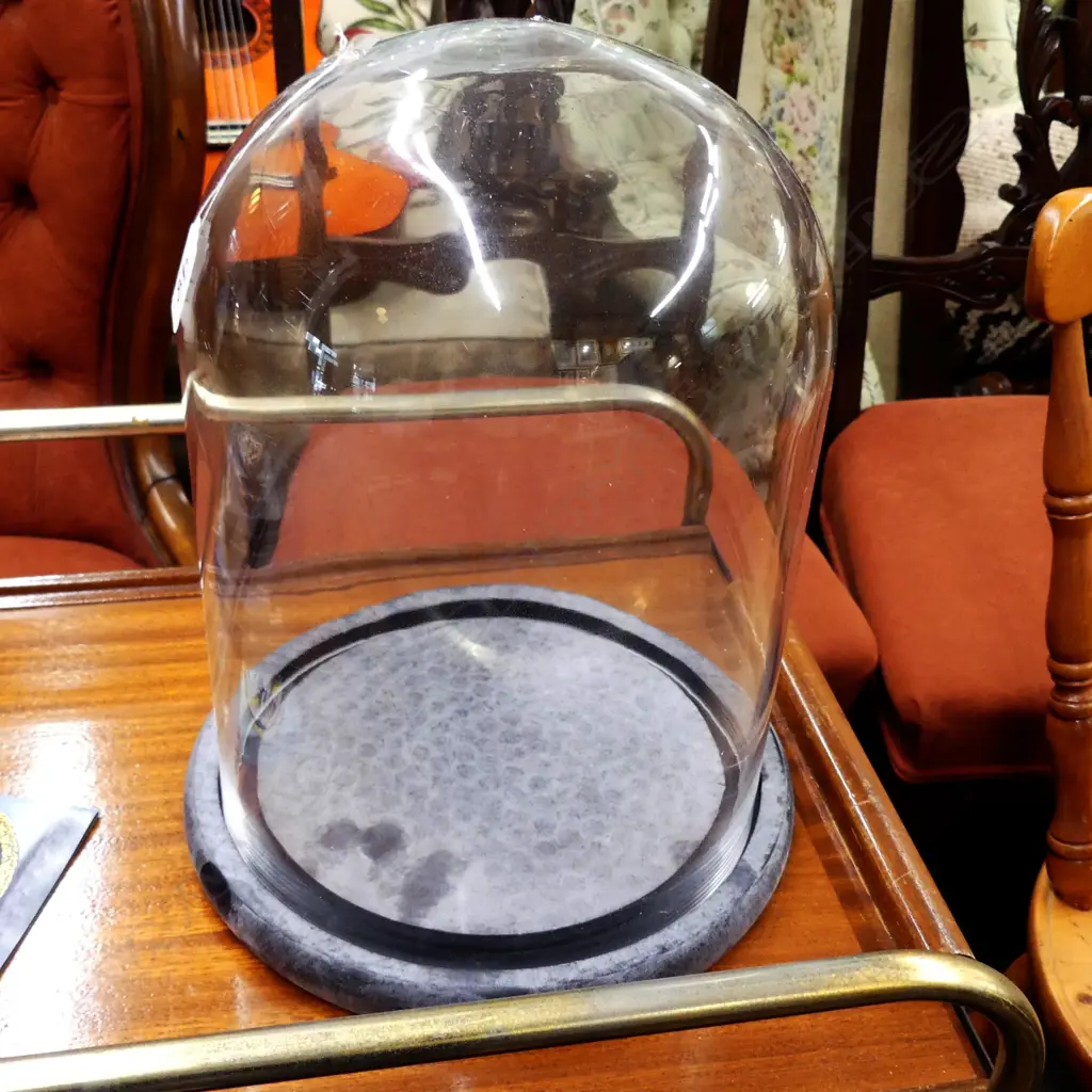 GLASS DOME Image 1++