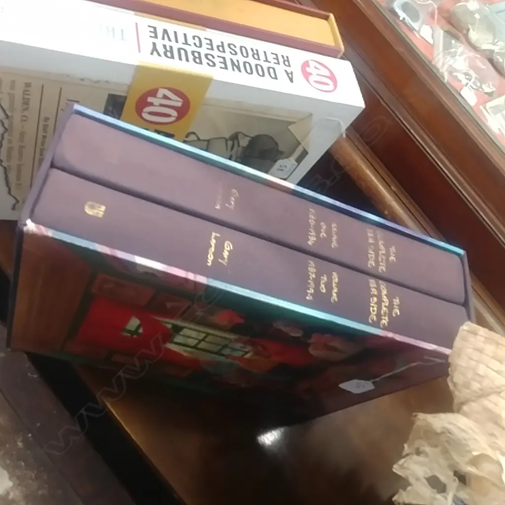 2 BOOKS THE COMPLETE FAR SIDE Image 1++