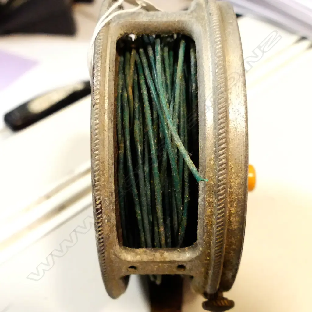 F STEANS & CO TROUT REEL Image 1++
