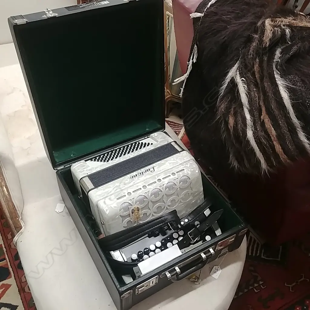CASED ACCORDIAN Image 1++