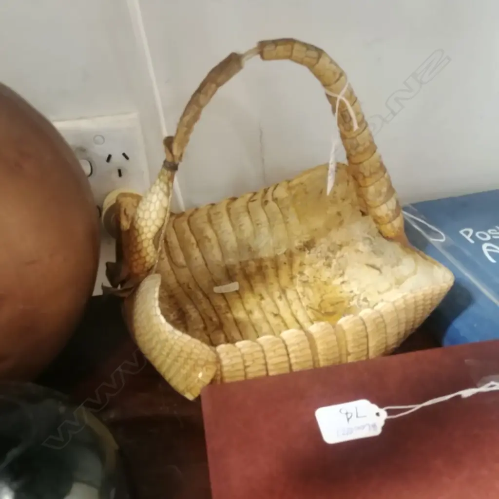TAXIDERMY ARMADILLO BASKET  Image 1++