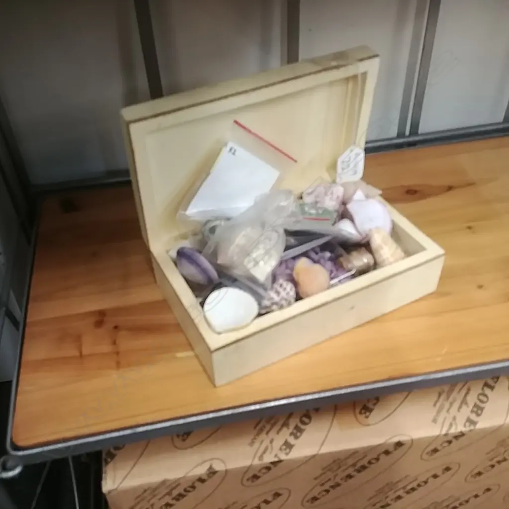 PAINTED BOX WITH COLLECTABLE SHELLS Image 1++