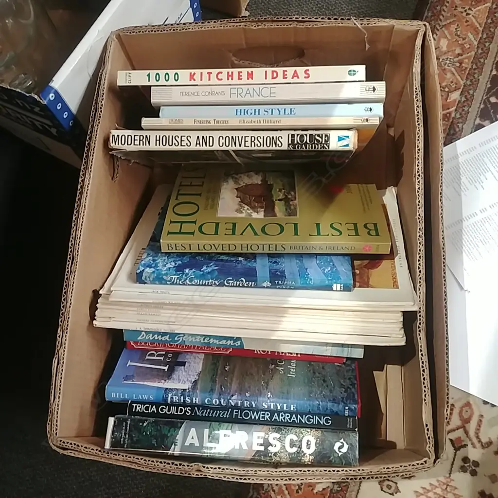 BOX OF ART BOOKS ETC Image 1++