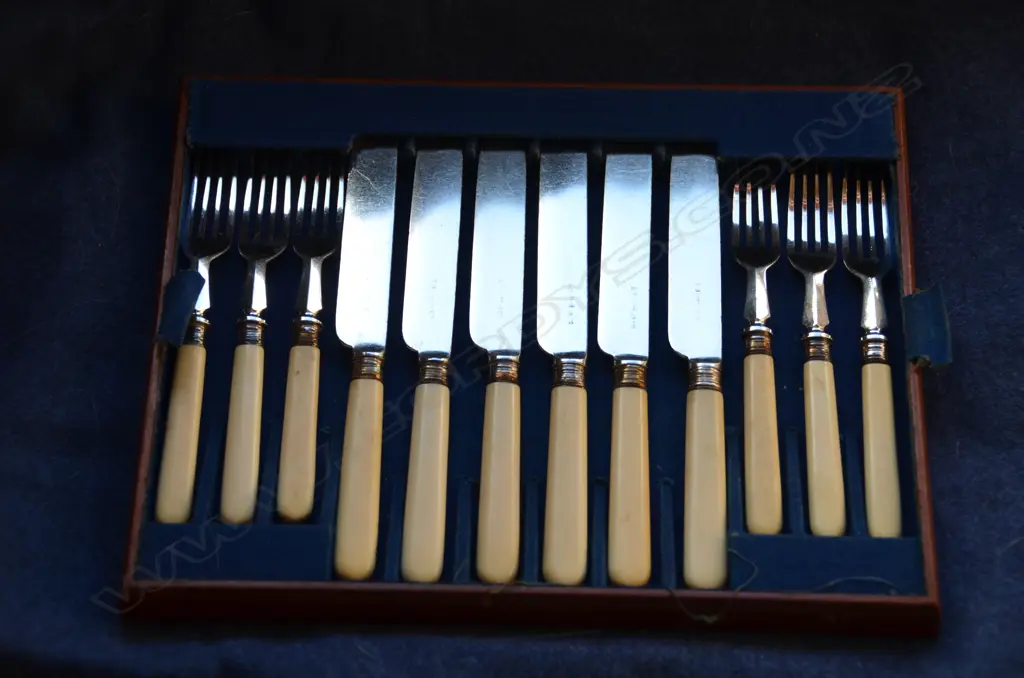 12 EACH VIC. EP FRUIT KNIVES & FORKS IN CASE Image 1++