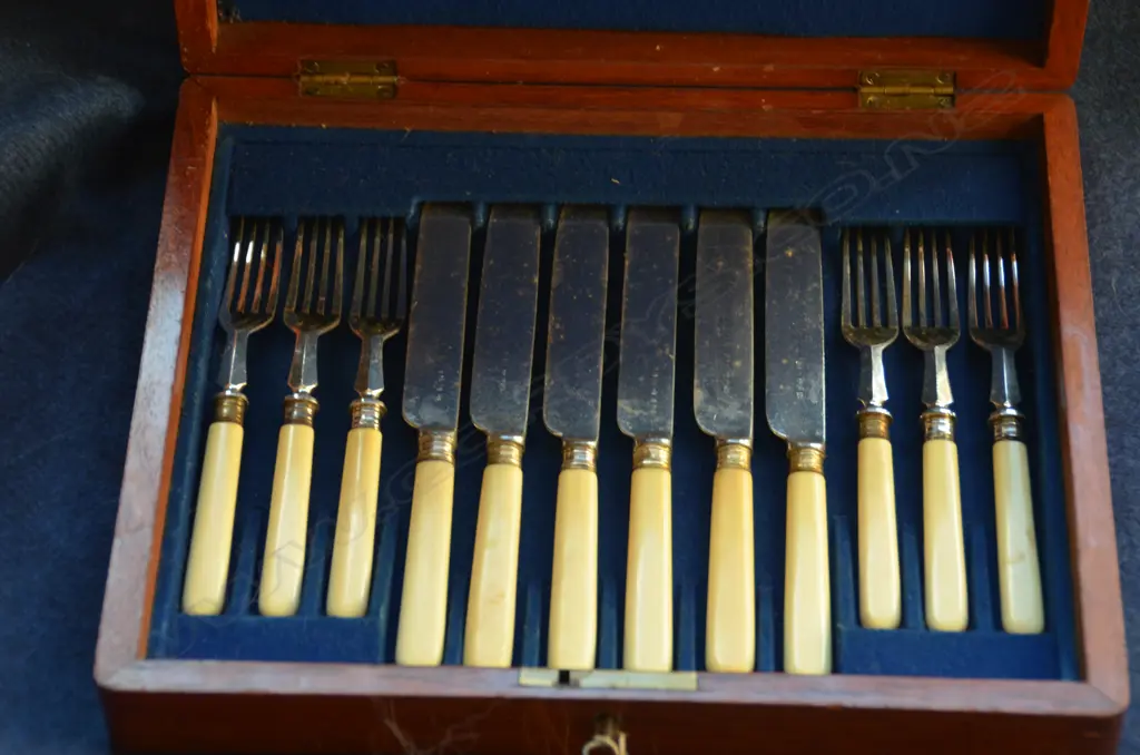 12 EACH VIC. EP FRUIT KNIVES & FORKS IN CASE Image 1++
