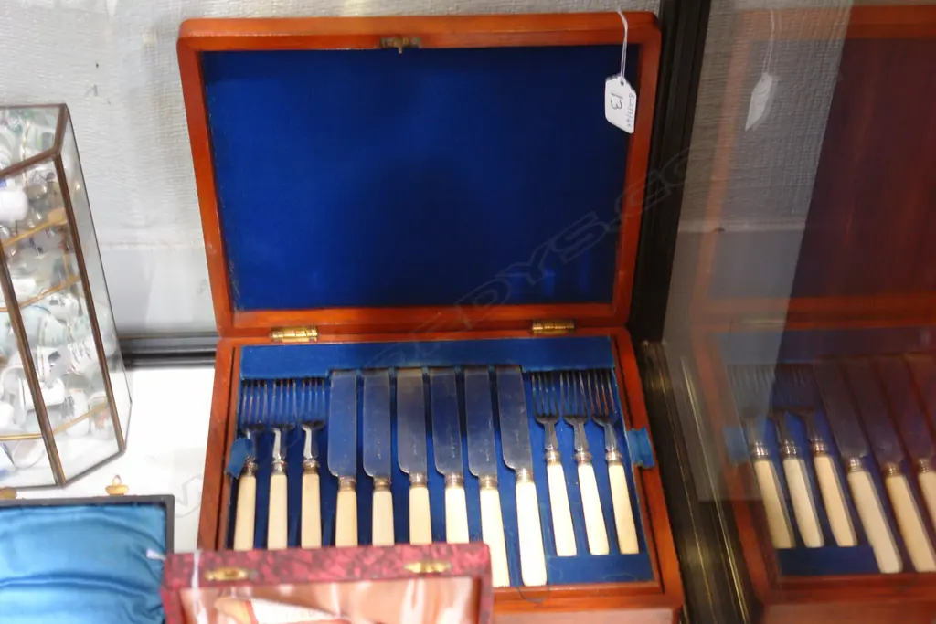 12 EACH VIC. EP FRUIT KNIVES & FORKS IN CASE Image 1++