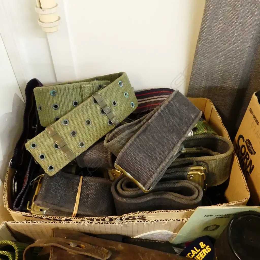 BOX ASST WEBBING BELTS/CLIP-ONS ETC Image 1++