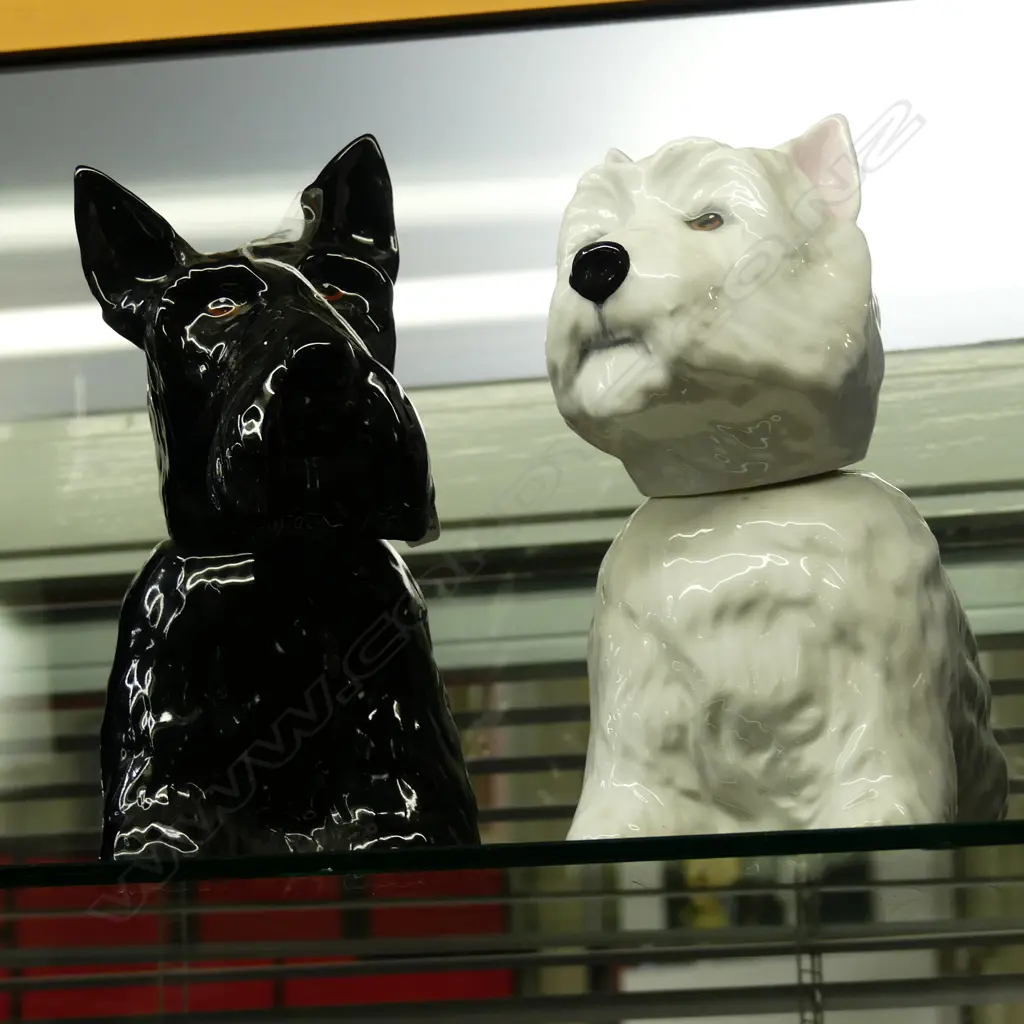 2 ROYAL ADDERLEY DOGS Image 1++