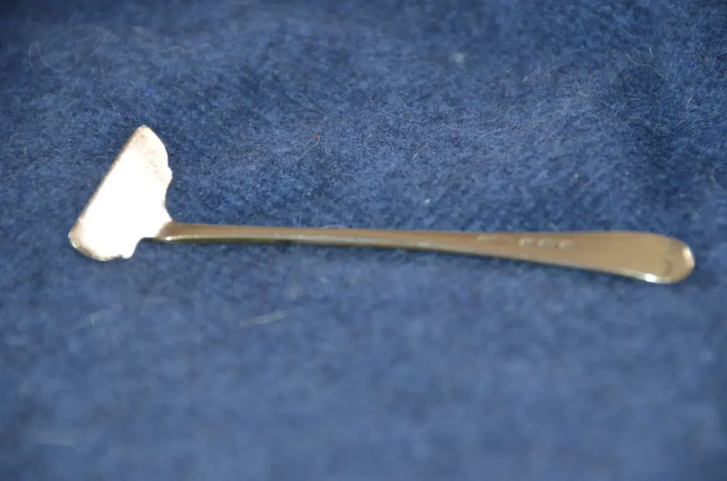 SILVER FOOD PUSHER & SAUCE LADLE Image 1++