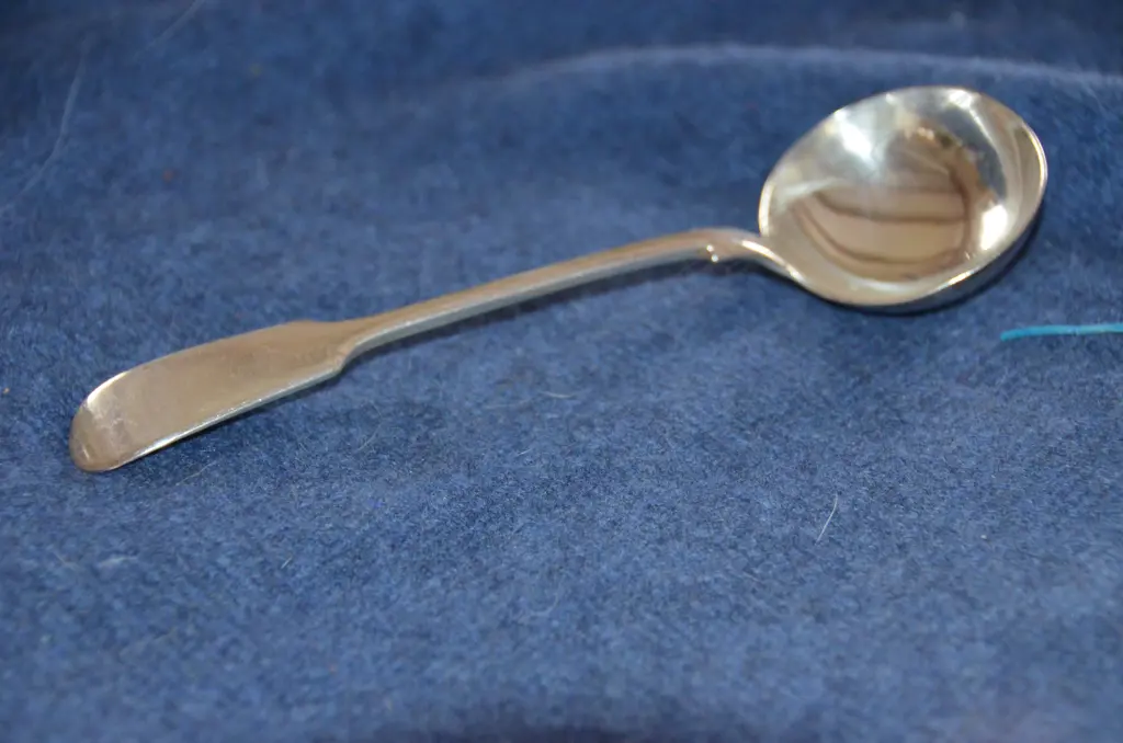 SILVER FOOD PUSHER & SAUCE LADLE Image 1++