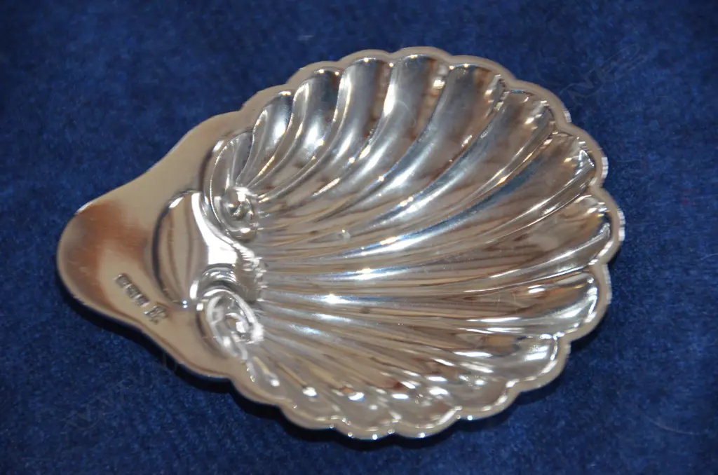 EDW SILVER BUTTER SHELL 1904 Image 1++