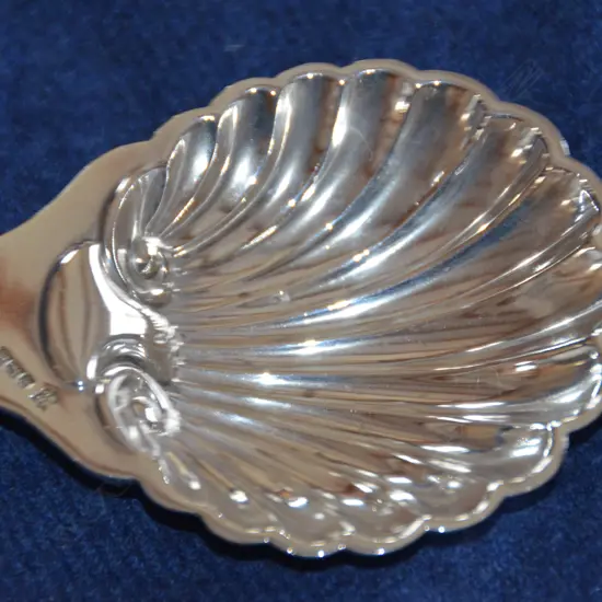 EDW SILVER BUTTER SHELL 1904