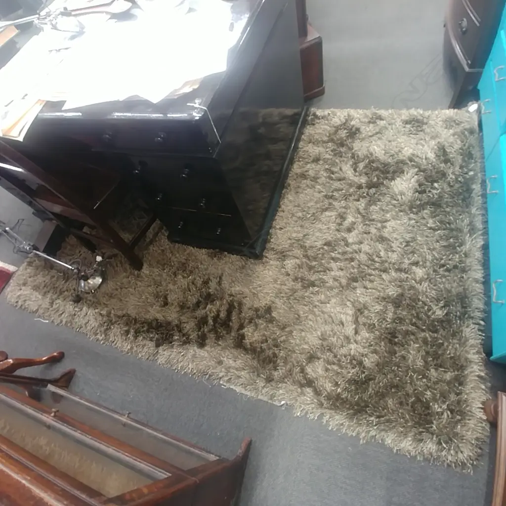 LONG PILE RUG Image 1++