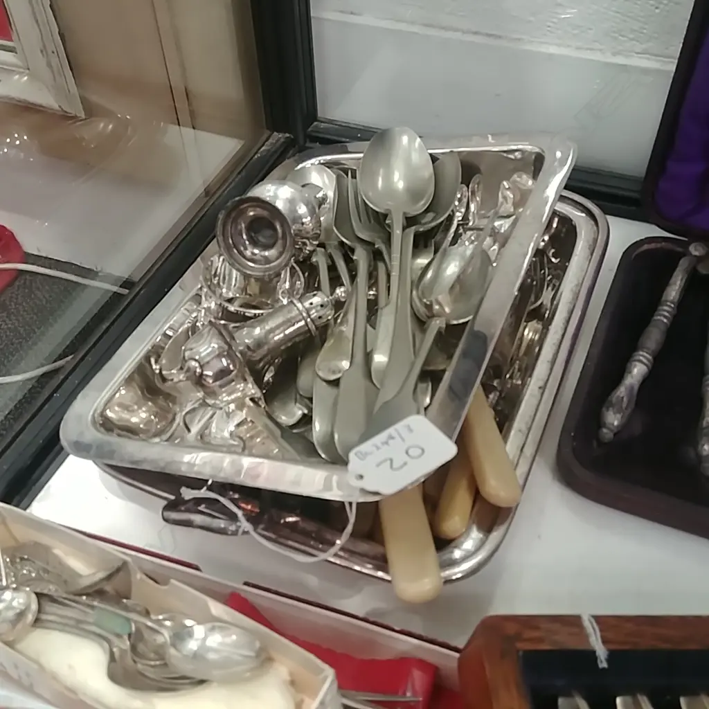 2 EP  TUREEN  WITH CUTLERY & FISH SET Image 1++