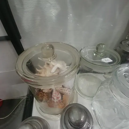 2 LOLLY JARS & SHELLS