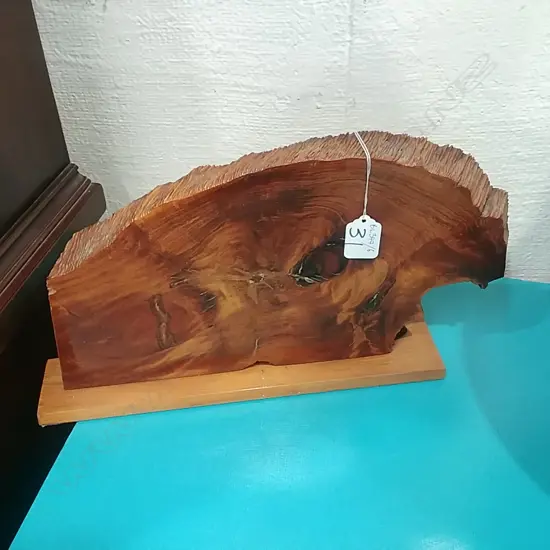 CUT SWAMP KAURI BURR DISPLAY 
